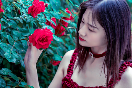 湖北神农架金丝猴家族“添丁加口”